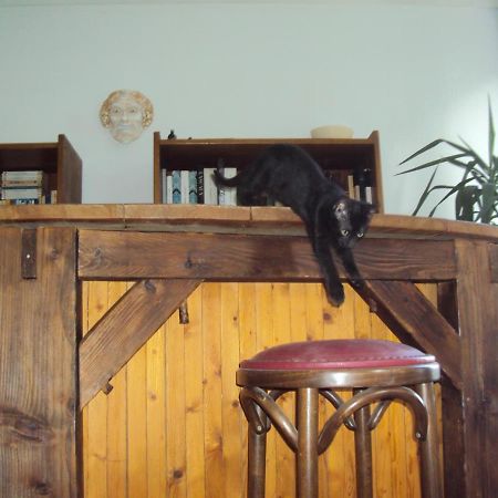 El Gato Negro Bed & Breakfast Montignac-Lascaux Exterior foto
