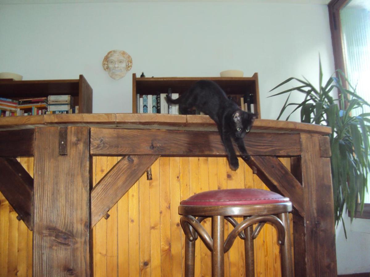 El Gato Negro Bed & Breakfast Montignac-Lascaux Exterior foto